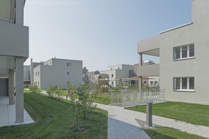 Kategorie: Erlenpark, Erlen